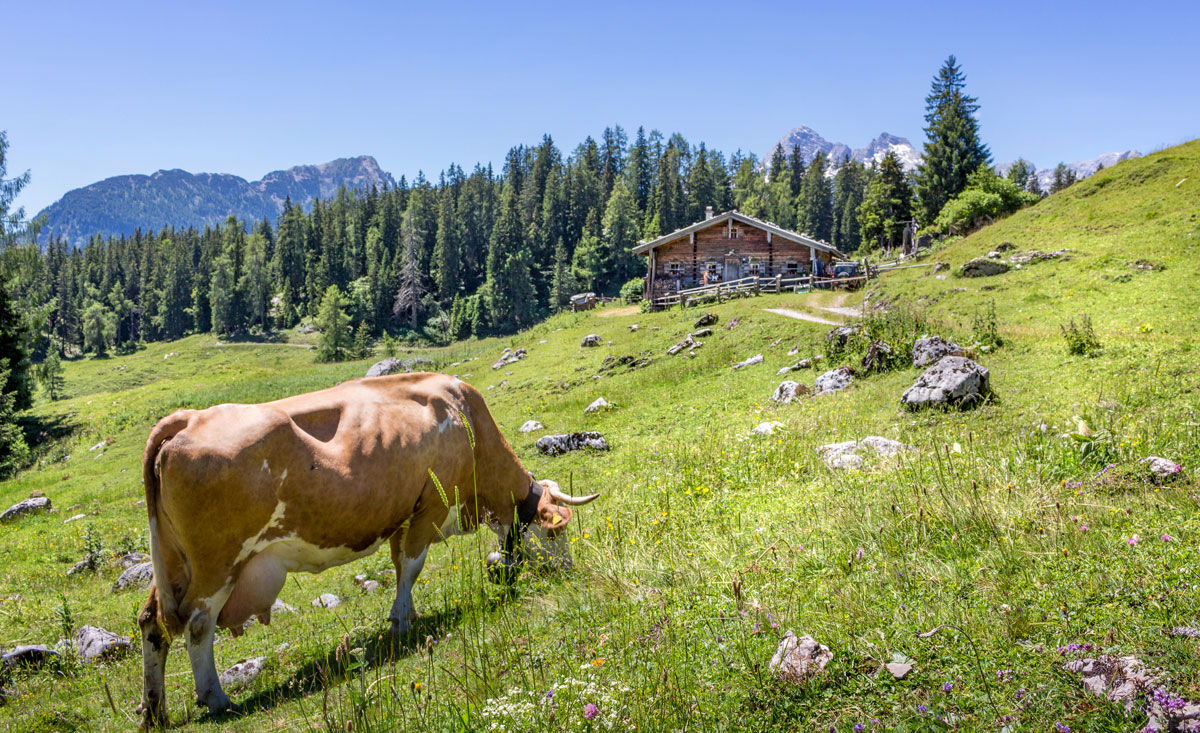 Familienurlaub in Oberösterreich