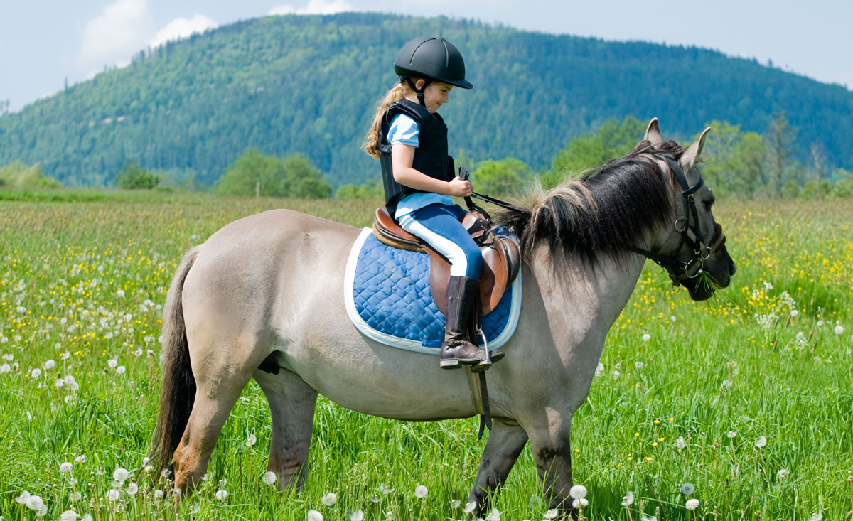 Reiten für Kinder und Reiturlaub für Familien im Familienhotel mit Pferden